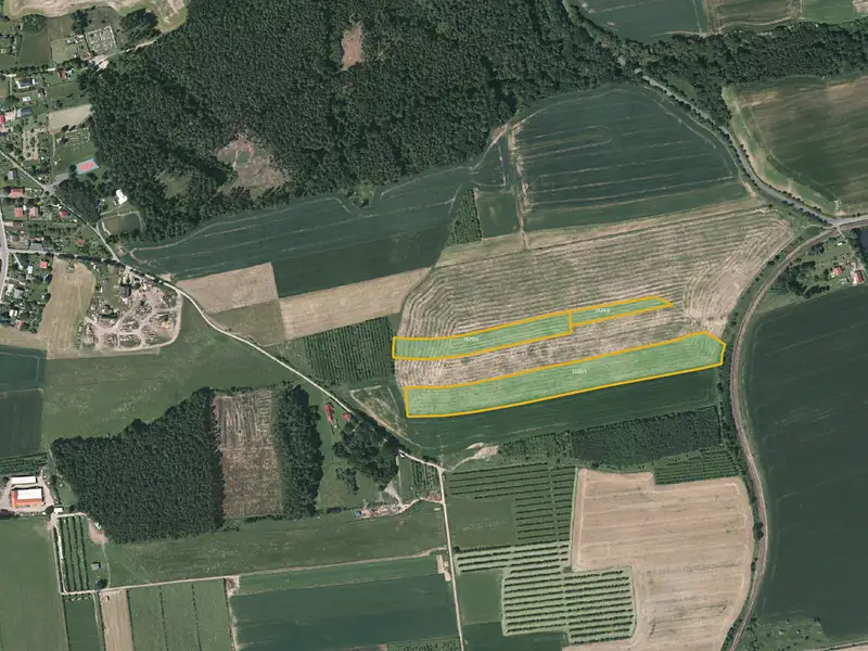 Prodej louky 34791 m², Radnice – náhled fotky 1