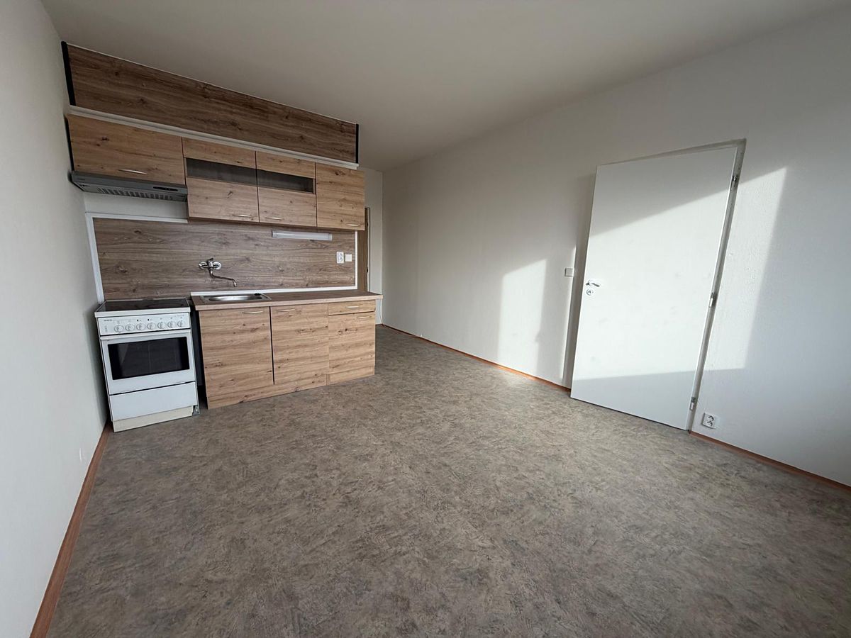 Pronájem bytu 1+1 35 m²