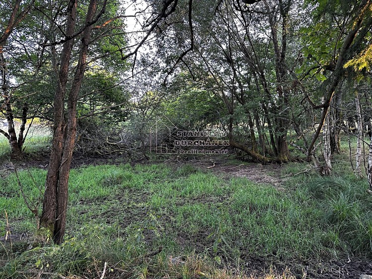 Prodej pozemku, 4 929 m² (9 z 14)