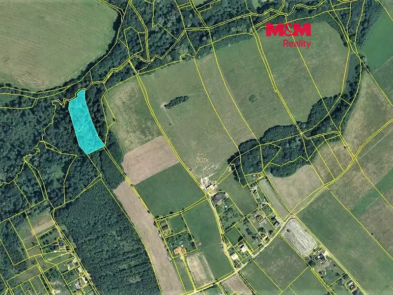 Prodej lesa 6540 m², Český Těšín – náhled fotky 1