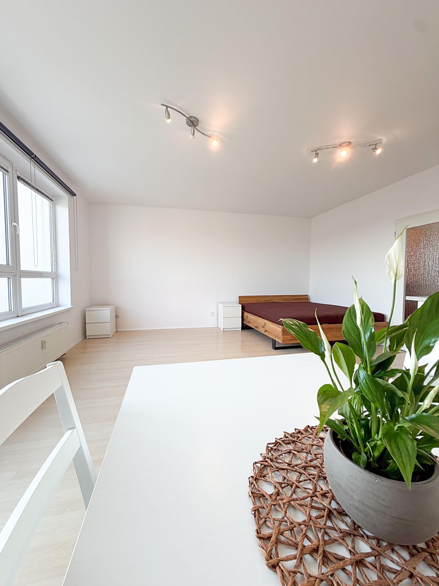 Pronájem bytu 1+kk 42 m² – fotografie 4