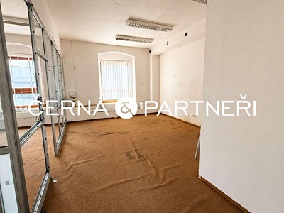 Комерційне приміщення в оренду, 264 м² (3 з 12)