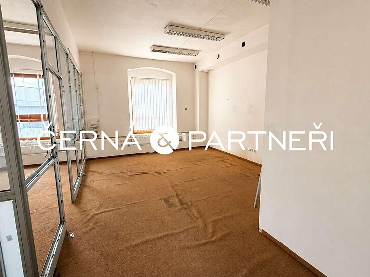 Комерційне приміщення в оренду, 264 м² (3 з 12)