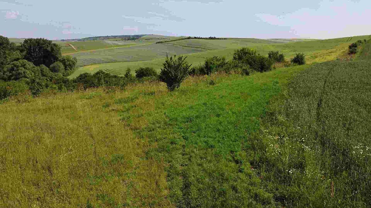 Prodej pole 3134 m²