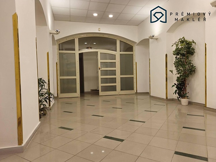 Pronájem komerčního prostoru, 33 m² (7 z 14)