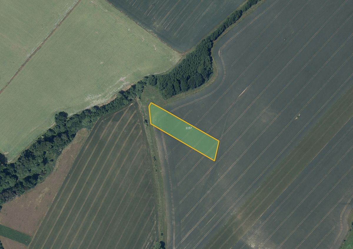 Prodej pole 7095 m²