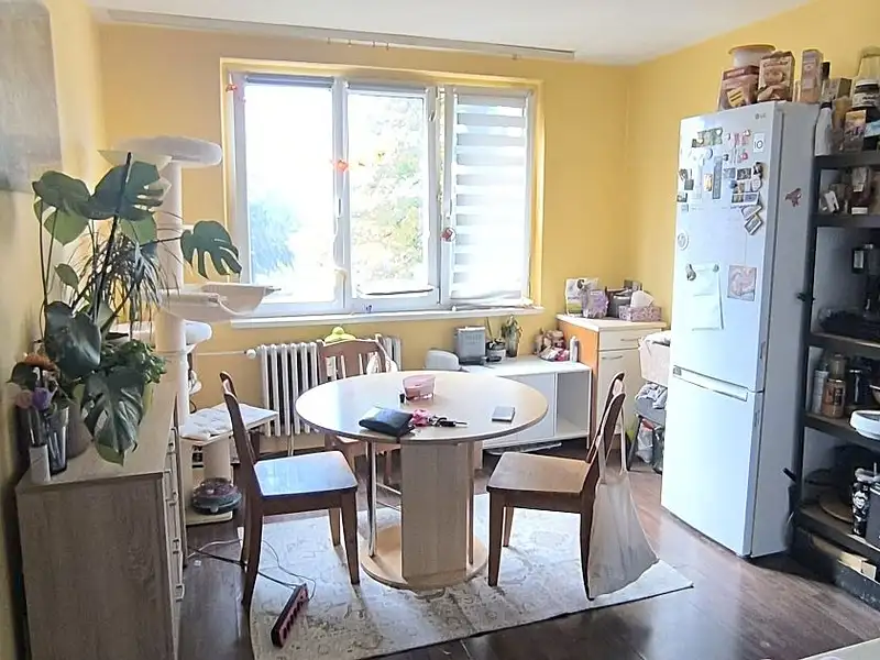 Pronájem bytu 1+1 36 m², Aš – náhled fotky 3