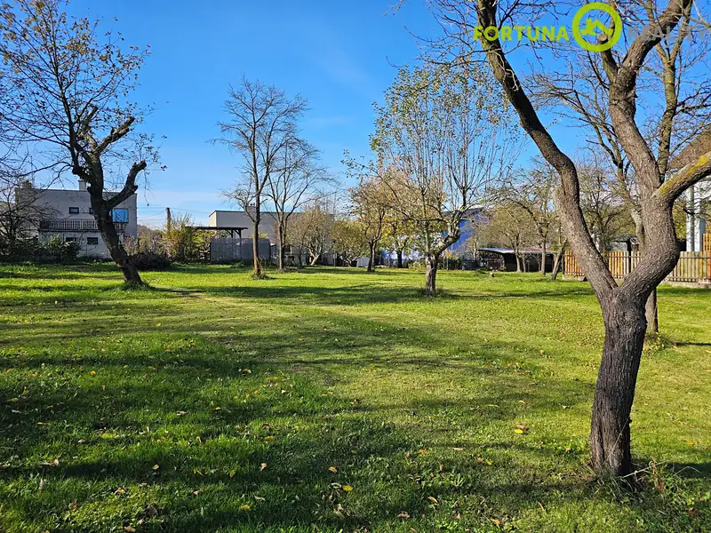 Prodej stavebního pozemku 3068 m², Rybí – náhled fotky 1