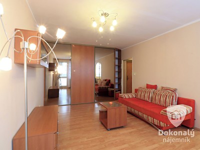 Pronájem bytu 1+kk, 43 m² (3 z 12)