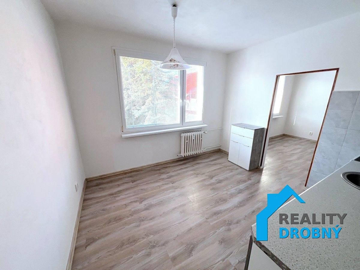 Pronájem bytu 1+1 37 m² – fotografie 3