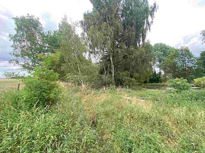 Prodej pozemku 2230 m²