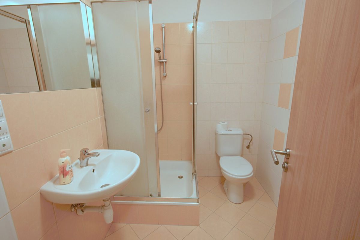 Pronájem bytu 1+kk 30 m² – fotografie 3