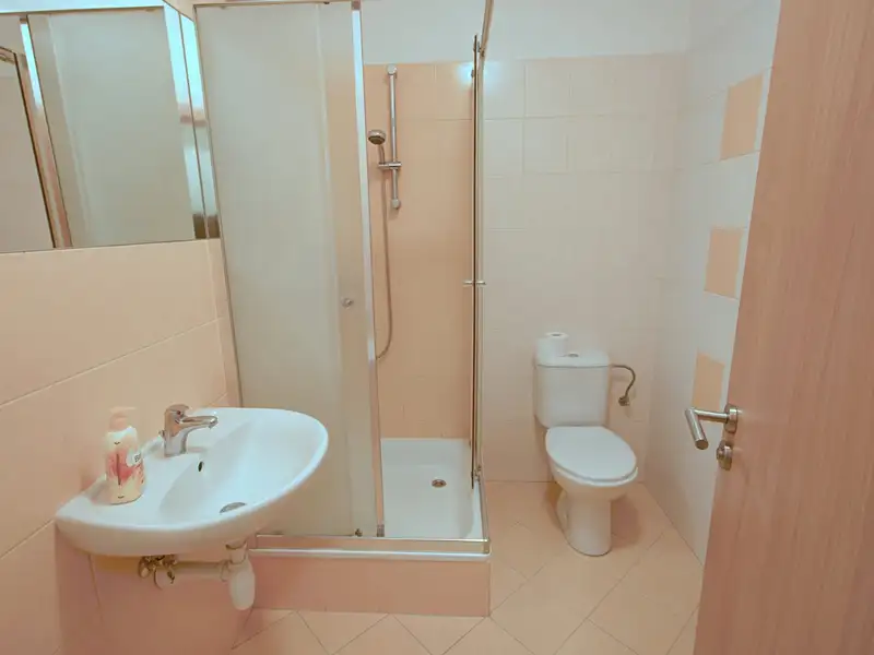 Pronájem bytu 1+kk 30 m², Brno – náhled fotky 3