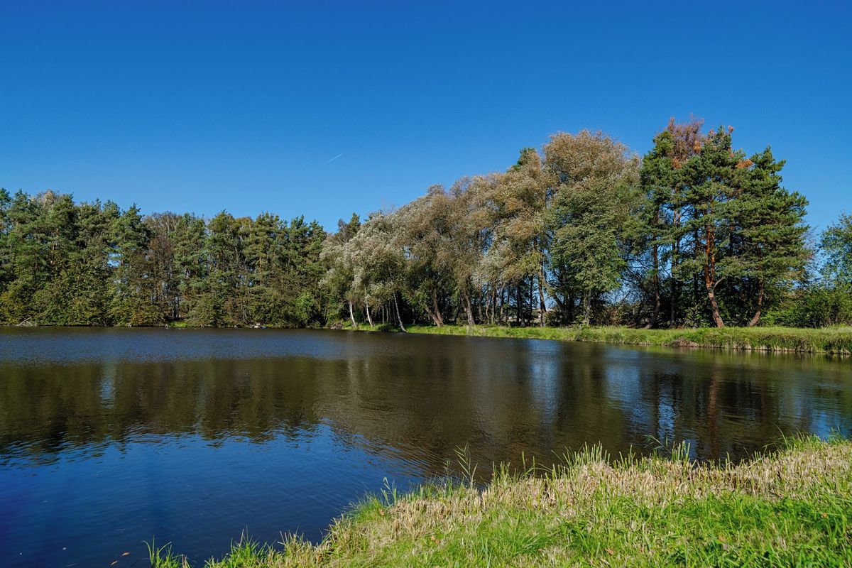 Prodej stavebního pozemku 1377 m² – fotografie 5