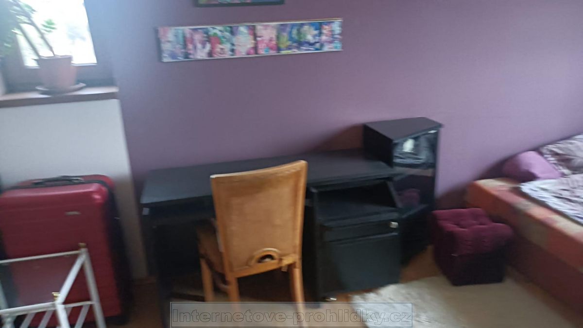 Pronájem bytu pokoje 25 m²