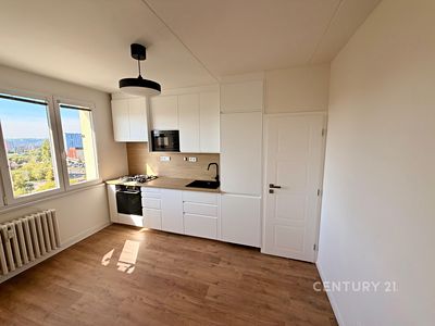 Pronájem bytu 1+1 37 m²