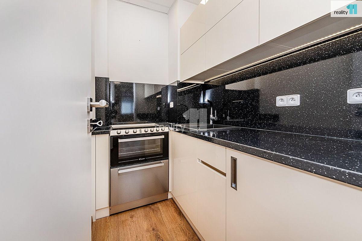 Pronájem bytu 1+kk 48 m² – fotografie 2