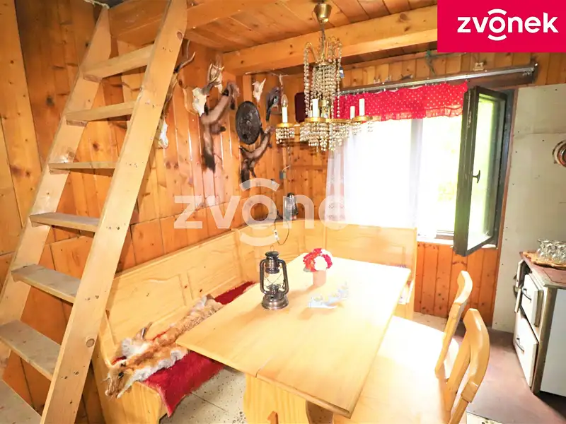 Prodej louky 497 m², Brumov-Bylnice – náhled fotky 1
