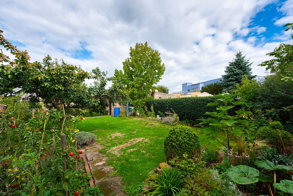 Prodej rodinného domu 129 m², pozemek 568 m² – fotografie 5