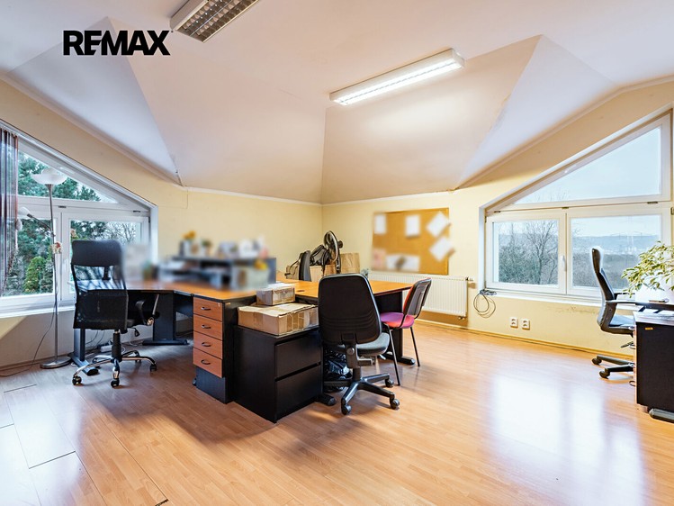 Gewerbefläche zum Kauf, 253 m² (13 von 31)