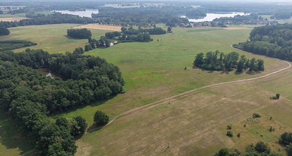 Prodej lesa 360000 m²