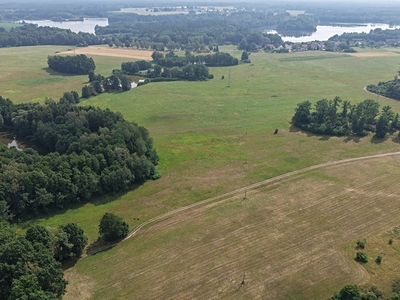 Prodej lesa 360000 m²