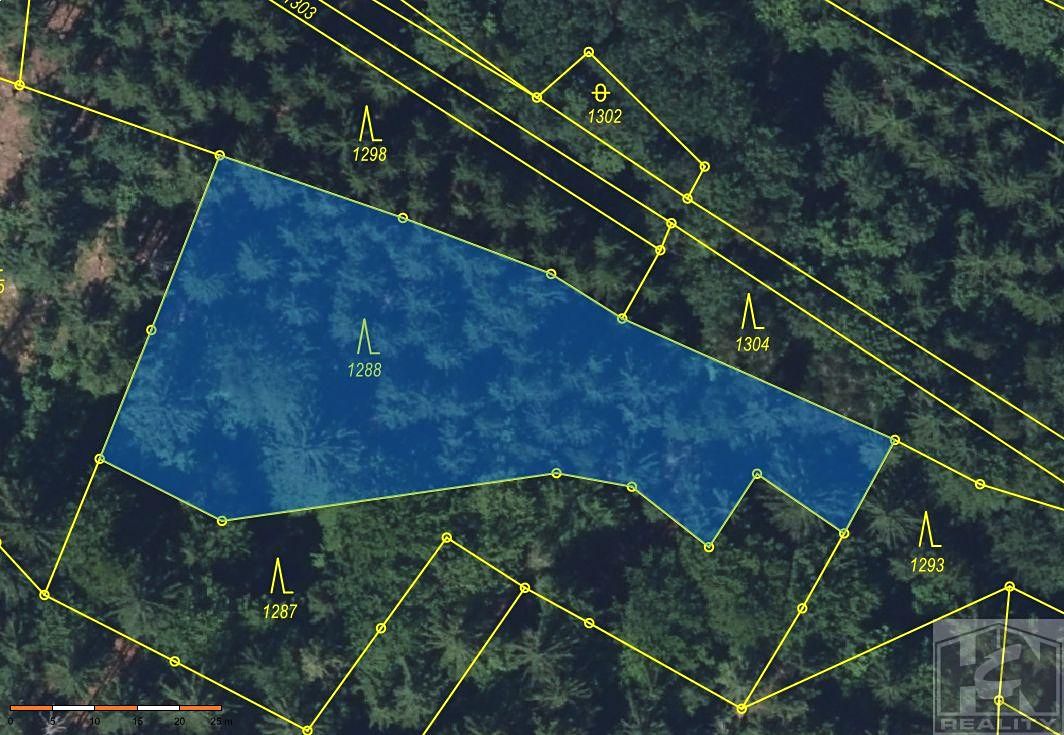 Prodej lesa 2272 m²