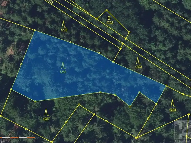 Prodej lesa 2272 m², Paseky nad Jizerou – náhled fotky 1