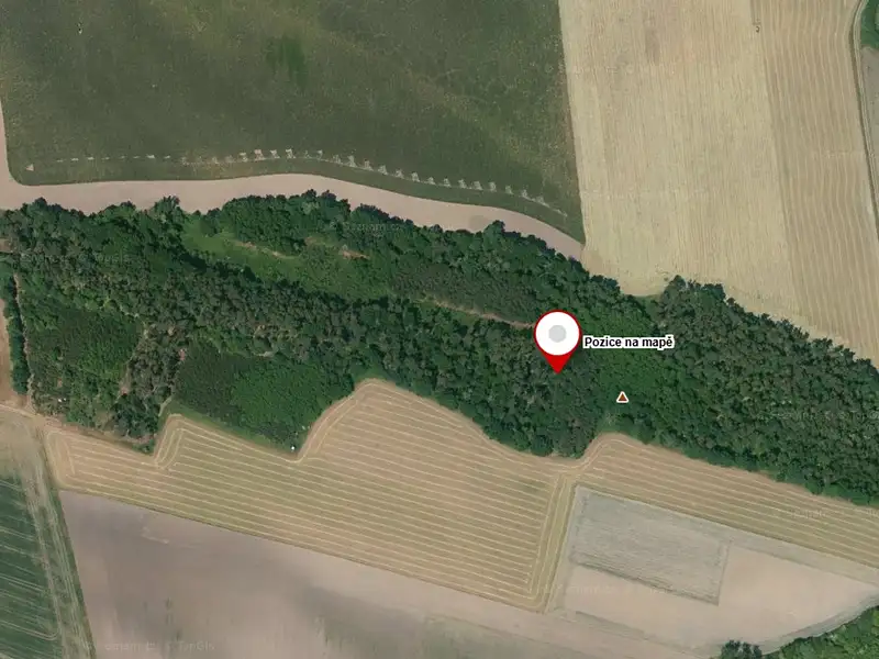 Prodej lesa 8552 m², Kovanice – náhled fotky 2
