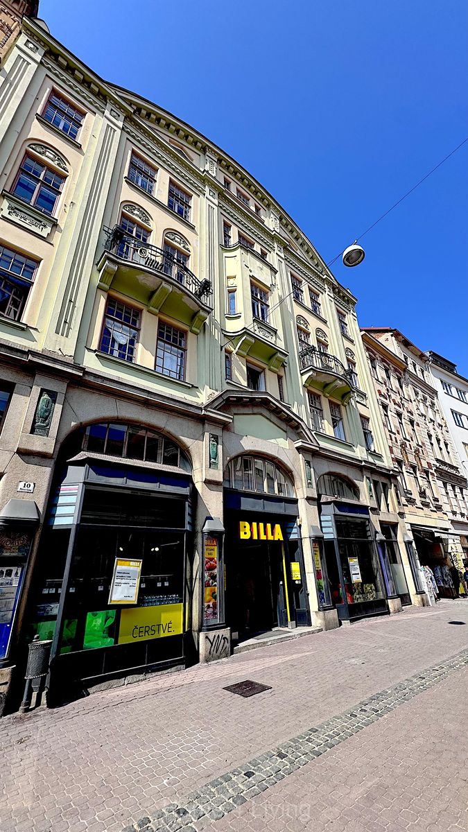 Pronájem obchodního prostoru 430 m² – fotografie 2