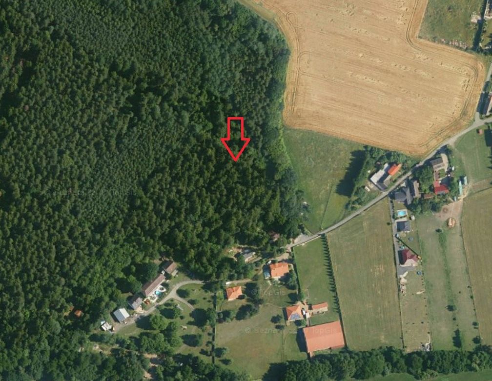 Prodej lesa 15479 m² – fotografie 2