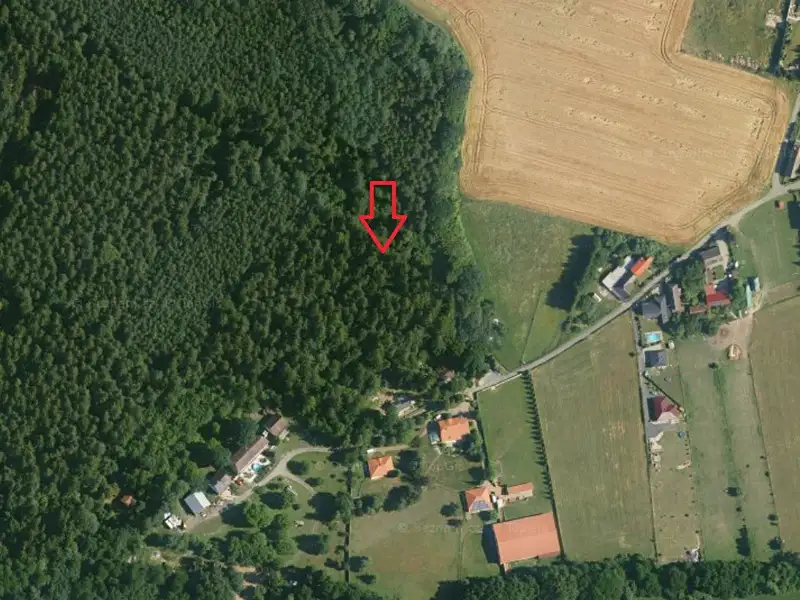 Prodej lesa 15479 m², Doubek – náhled fotky 2
