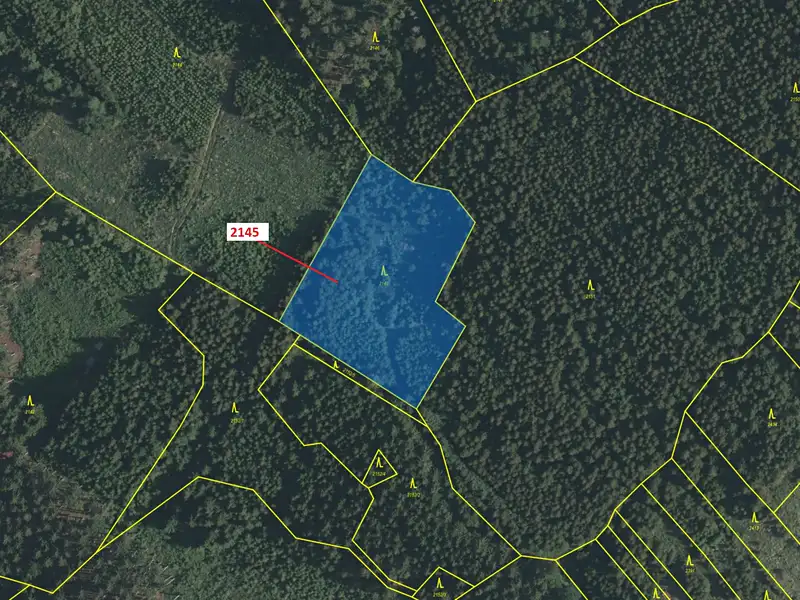 Dražba lesa 5413 m², Strmilov – náhled fotky 2