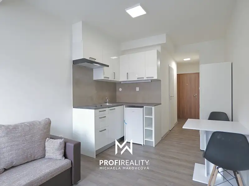 Pronájem bytu 1+kk 18 m², Praha – náhled fotky 2