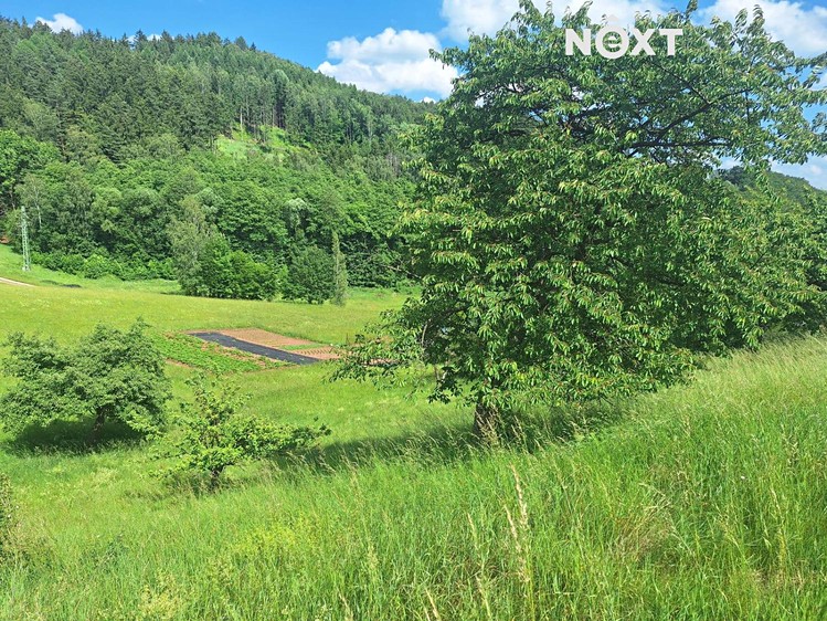Grundstück zum Kauf, 2.318 m² (6 von 15)