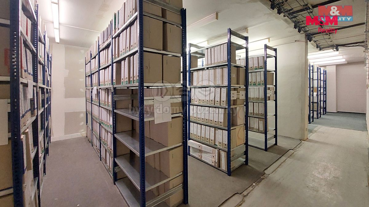 Pronájem obchodního prostoru 450 m² – fotografie 2