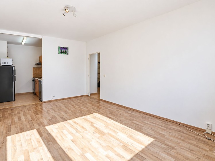 Wohnung 2+kk zum Kauf, 45 m² (2 von 17)