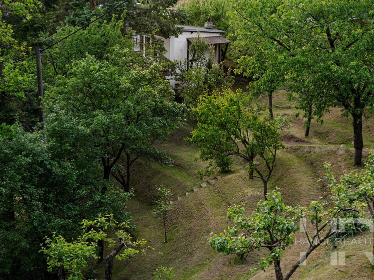 Ostatní