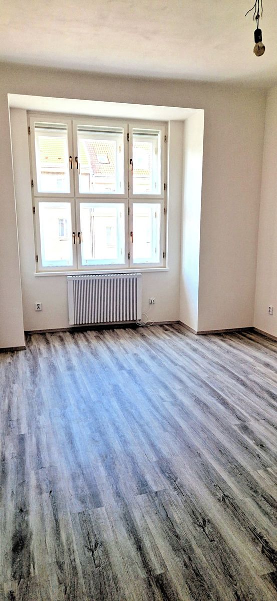 Pronájem bytu 1+1 45 m² – fotografie 4