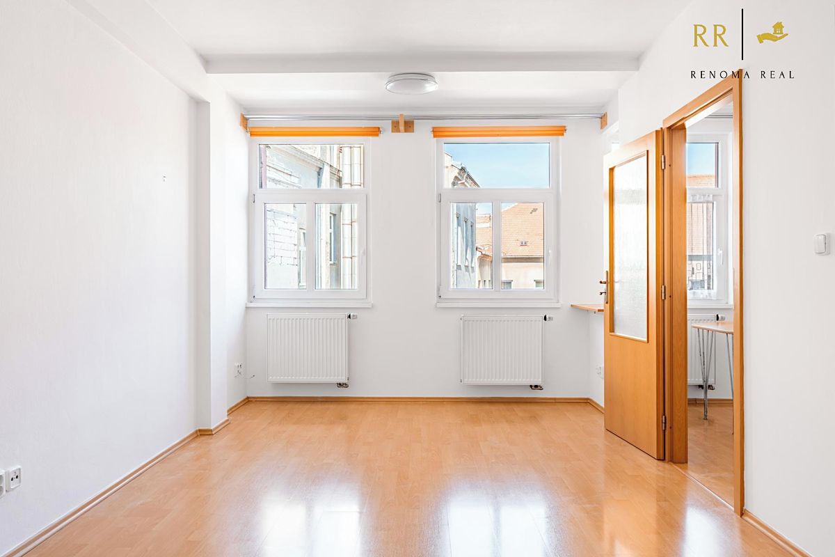 Pronájem bytu 1+1 45 m² – fotografie 2