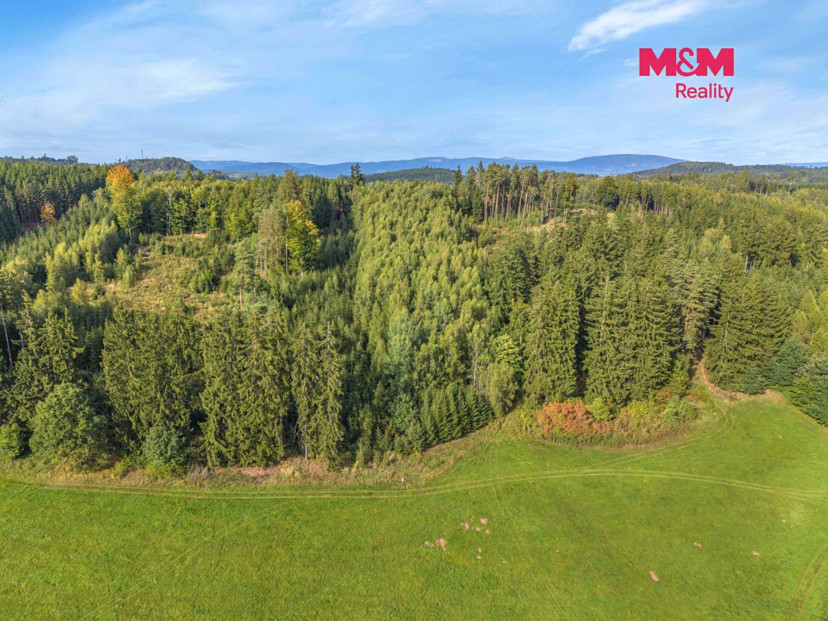 Prodej lesa 8513 m² – fotografie 3