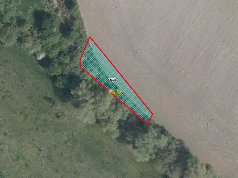 Prodej pole 439 m², Dětenice – náhled fotky 1