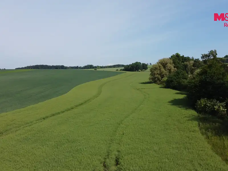 Prodej pole 99905 m², Markvartice – náhled fotky 3