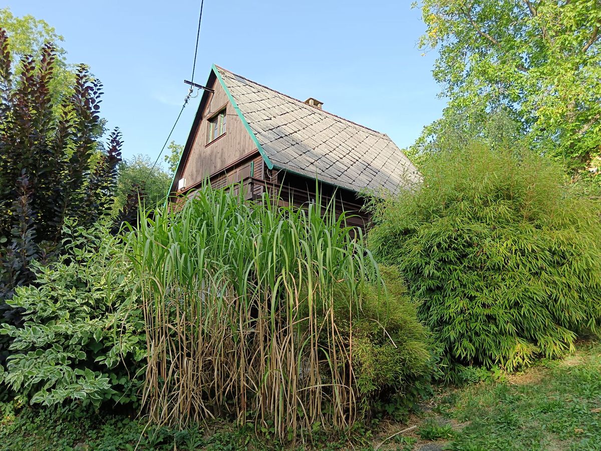 Prodej chaty 78 m², pozemek 375 m² – fotografie 5