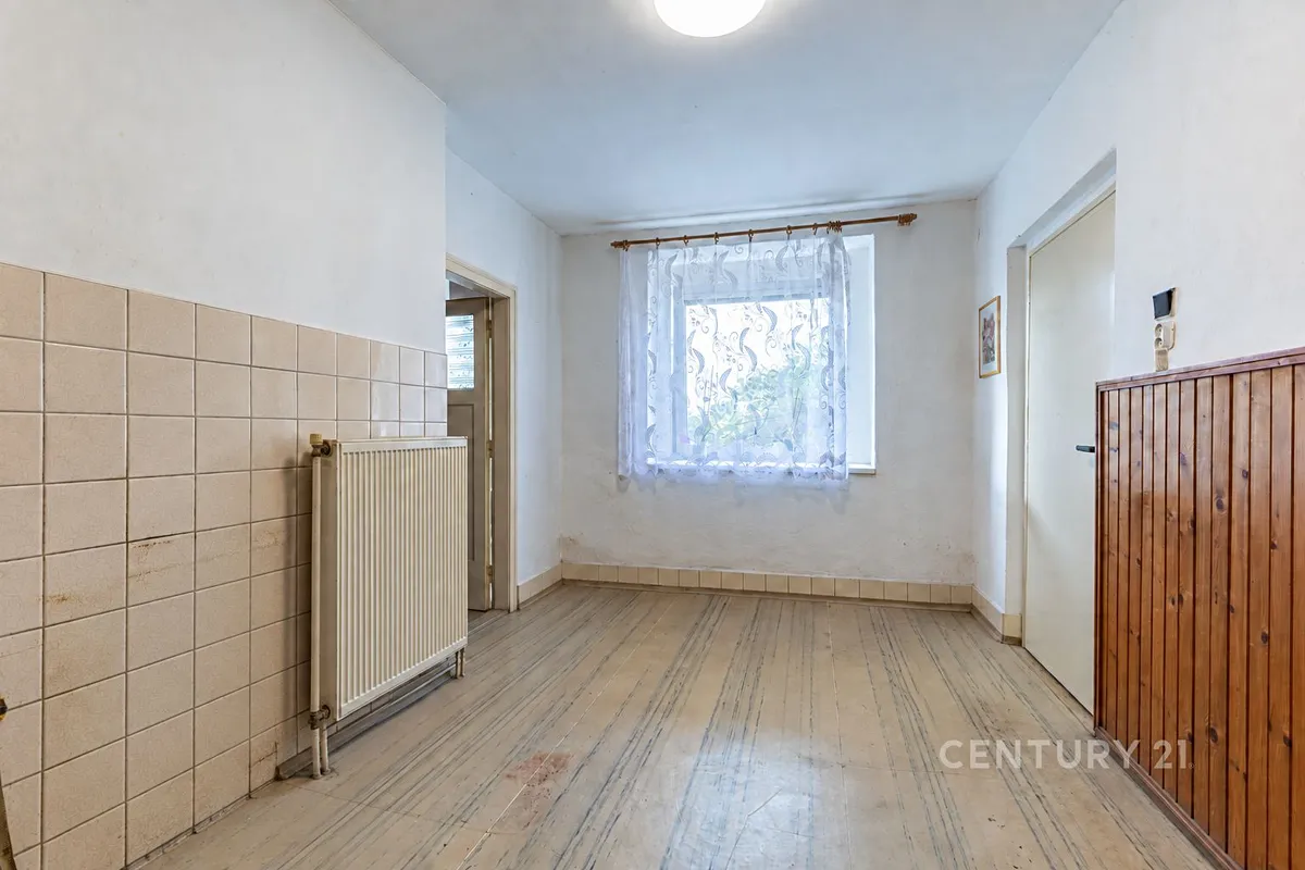 Fotka 11 z 28