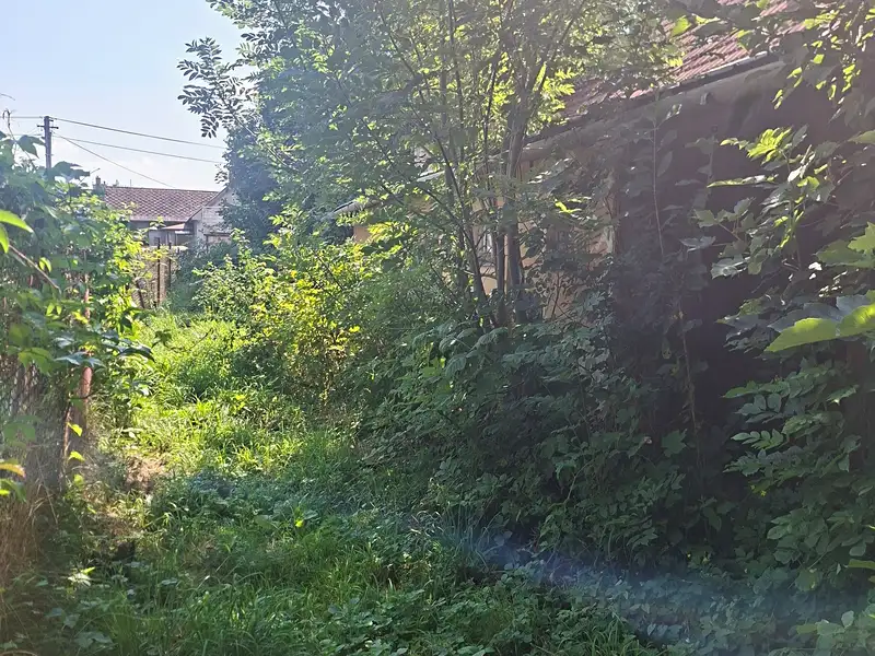 Prodej rodinného domu 75 m², pozemek 1392 m², Kozlovice – náhled fotky 3