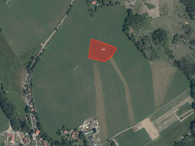 Prodej pole 12271 m², Borovnice – náhled fotky 2