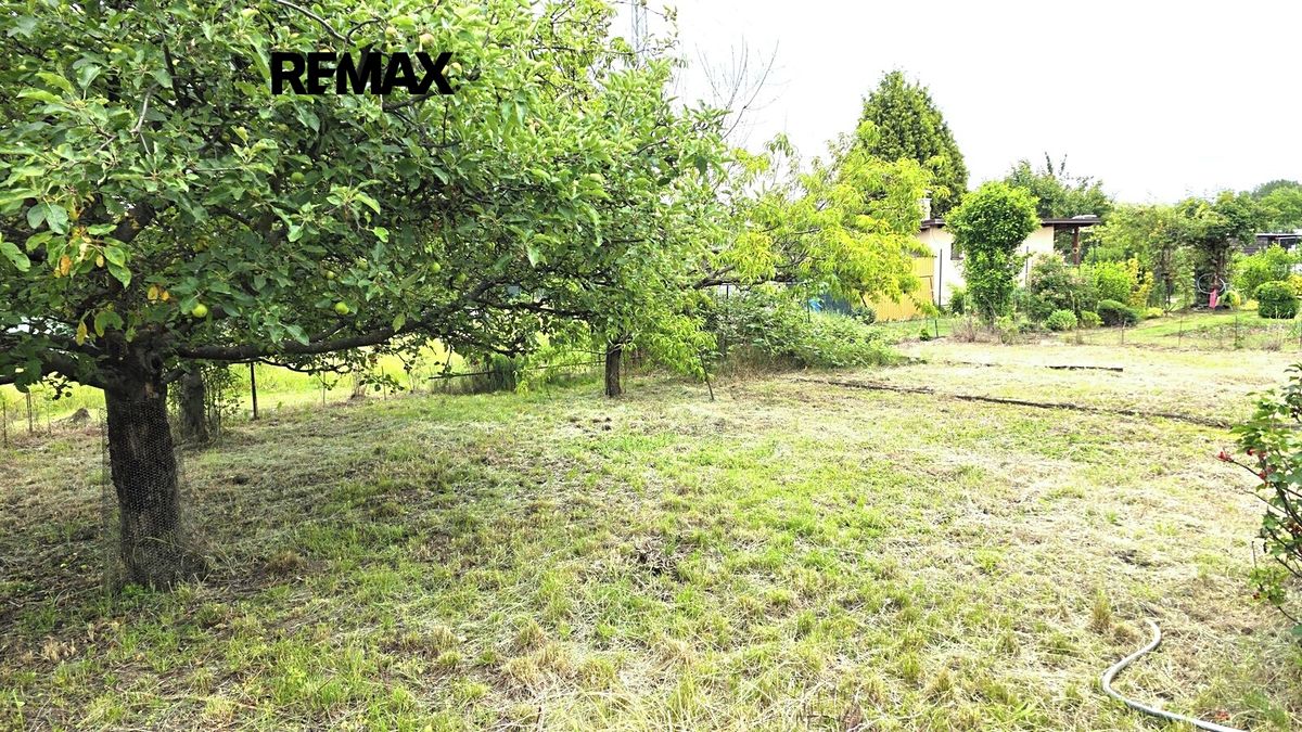 Prodej zahrady 435 m² – fotografie 3