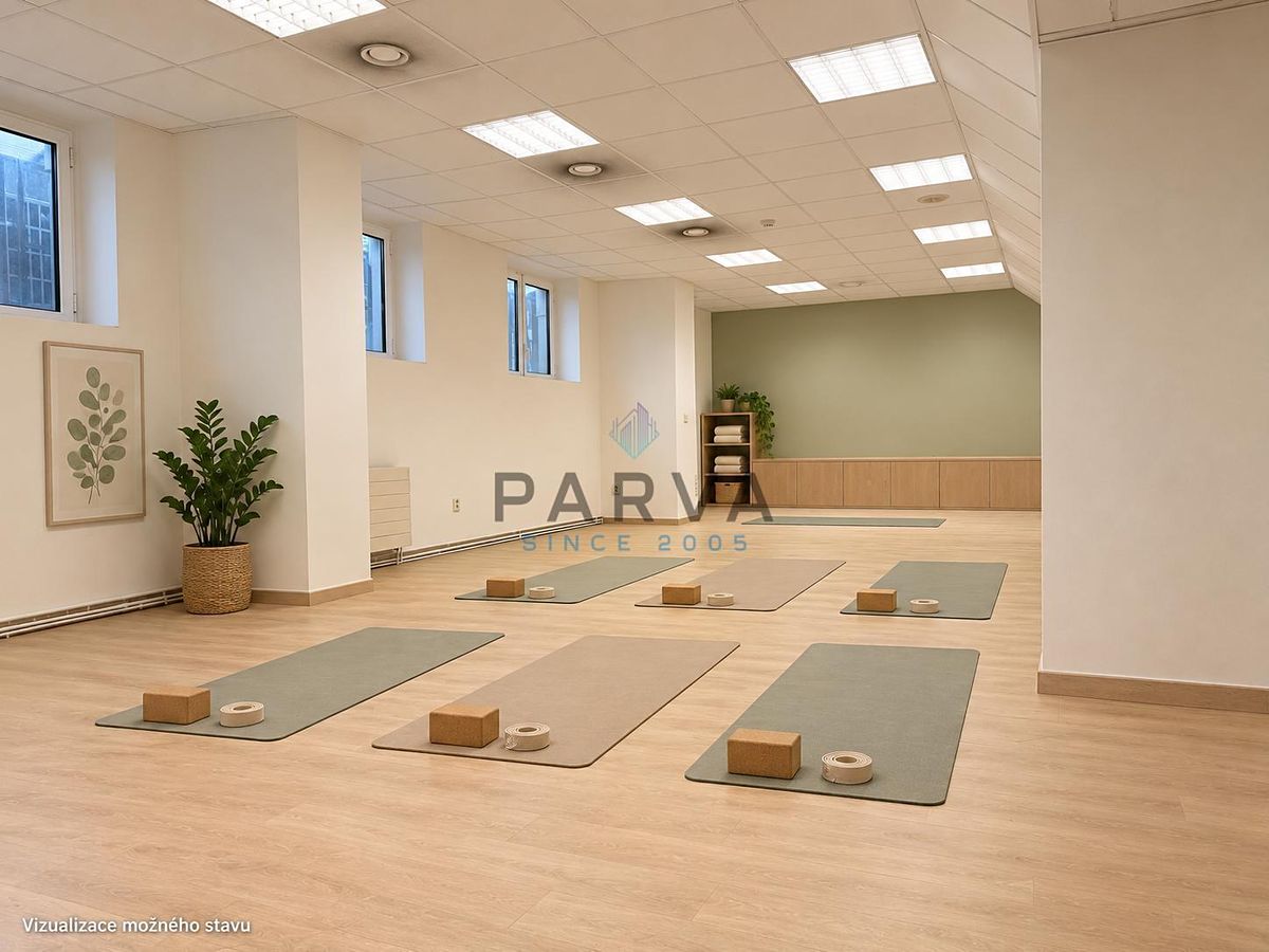 Pronájem obchodního prostoru 150 m² – fotografie 4