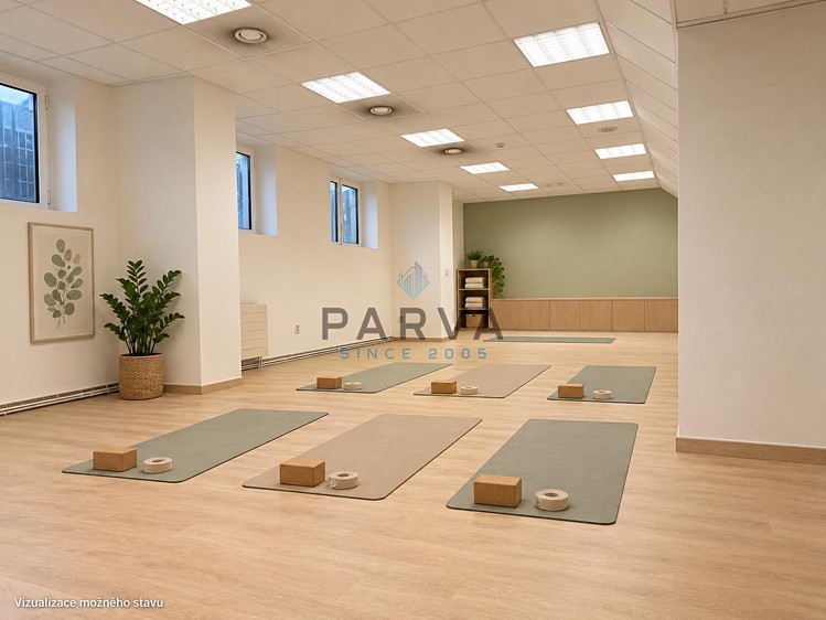 Комерційне приміщення в оренду, 150 м² (4 з 24)